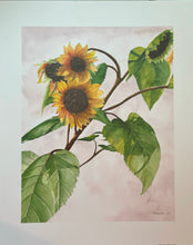 Load image into Gallery viewer, Floral | Lithograph Prints
