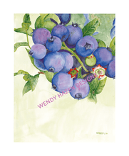 Load image into Gallery viewer, Maine Blueberries