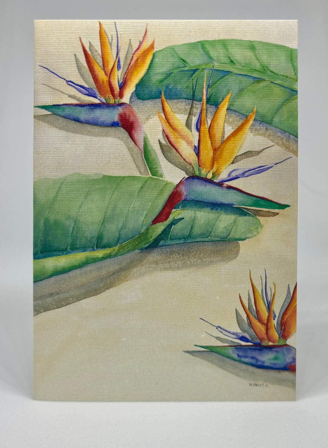 Three Bird of Paradise blossoms on a beige background.