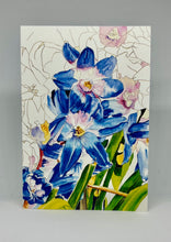 Load image into Gallery viewer, Blue and White with a yellow center.  These grow in the early spring in the grass giving it the appearance of a blue haze.  