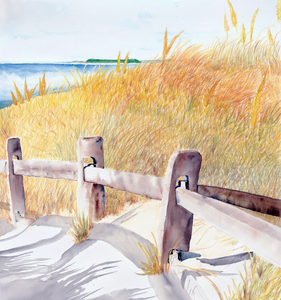 Cosby Lane Beach in Brewster on Cape Cod with the weathered rails, drifting sand and sea grass waving in the breeze