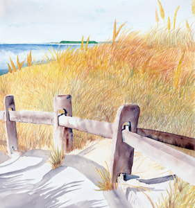 Beach Path - Cosby Lane, Cape Cod | Giclee` Prints