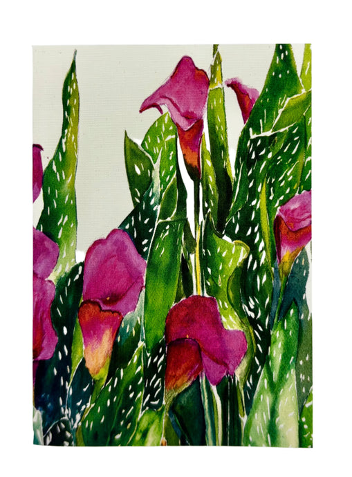 The dark pink calla lilies with white speckled green leaves posed against a white fence