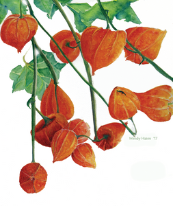 Chinese Lanterns | Giclee` Prints