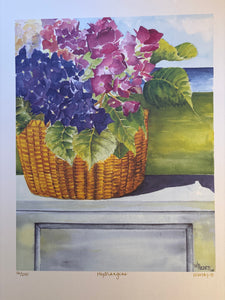 Florals | Lithograph Prints