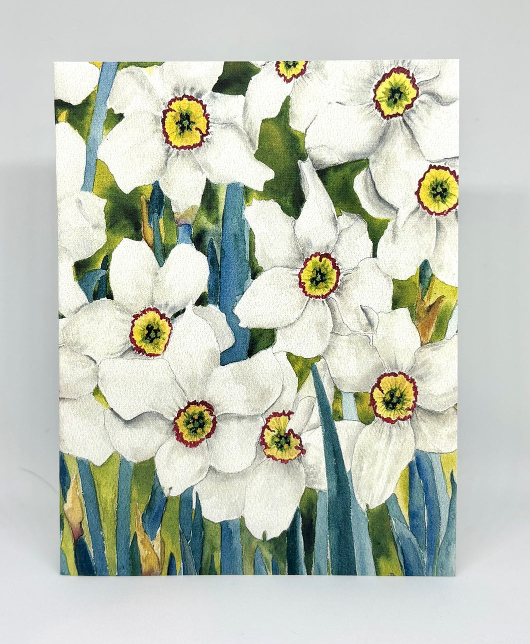 White Jonquils with the blue gray leaves and the yellow centers with a red ring around the center of each jonquil.