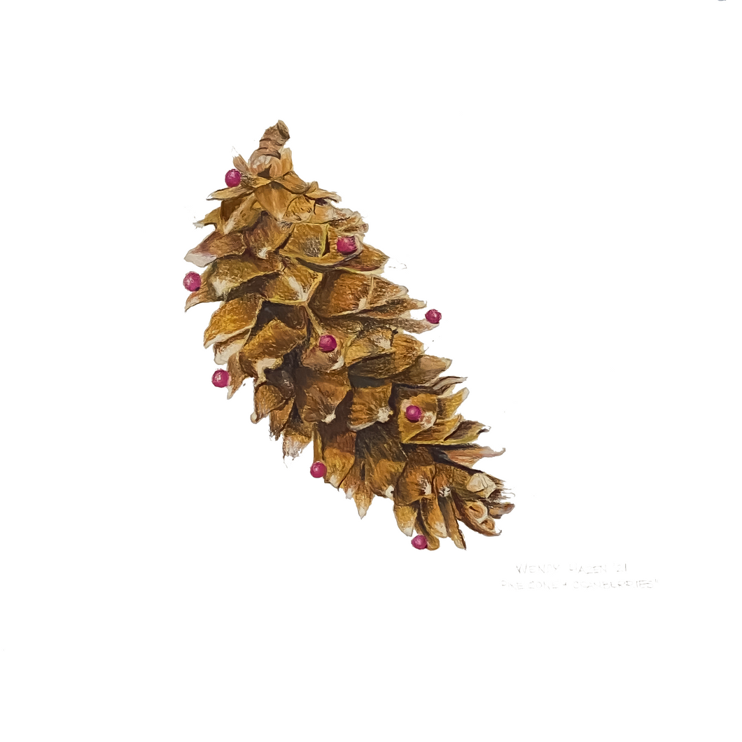 Pine Cone | Giclee` Prints