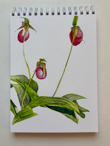 This is a notepad cover of lady slippers, which are part of the orchid family that grow wild in Maine and Cape Cod and probably all over New England. They’re beautiful with their pink and deeper pink coloring and the beautiful color green of the leaves and stem.