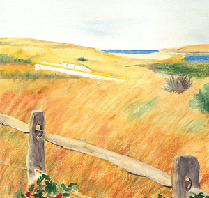 Madaket Moors  | Giclee` Prints