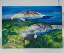 Load image into Gallery viewer, Floating about feeding on vegetation.  No wonder people want to swim with these wonderful creatures.  They are lovely and docile.  And unfortunately, power motor blades seem to be one of their biggest enemies because they do not move that fast. 