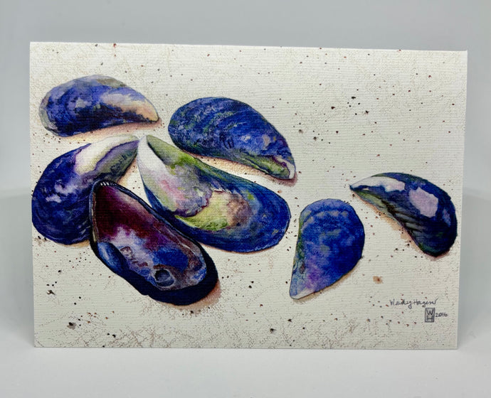 Blue, White and Green Mussel Shells on a beach with reddish insides of one shell.
