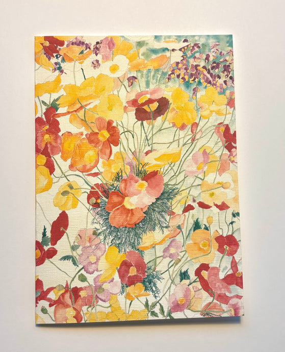 Multi colored poppies from red to yellow, even violet against a yellowish green background with leaves poking through