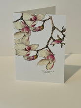 Load image into Gallery viewer, Spring Flower Cards in New England | Lilac, Jonquils, Tulips, Magnolias