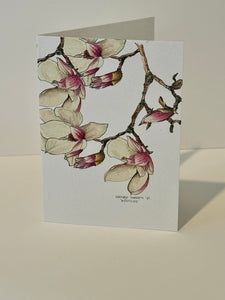 Spring Flower Cards in New England | Lilac, Jonquils, Tulips, Magnolias