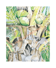 Load image into Gallery viewer, Count them!  there are eleven coconuts in the top of this tree