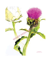 Load image into Gallery viewer, Flowers, Flowers | Giclee` Prints