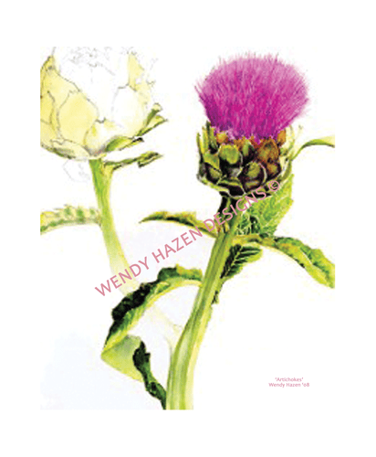 Artichoke Flower | Giclee` Prints