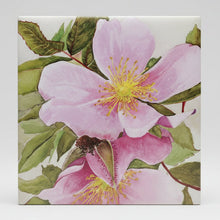 Load image into Gallery viewer, Rosa Ragosa (Beach Roses)