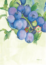 Load image into Gallery viewer, Blueberries ready to pick notepad with 100 blank pages