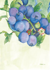 Blueberries ready to pick notepad with 100 blank pages