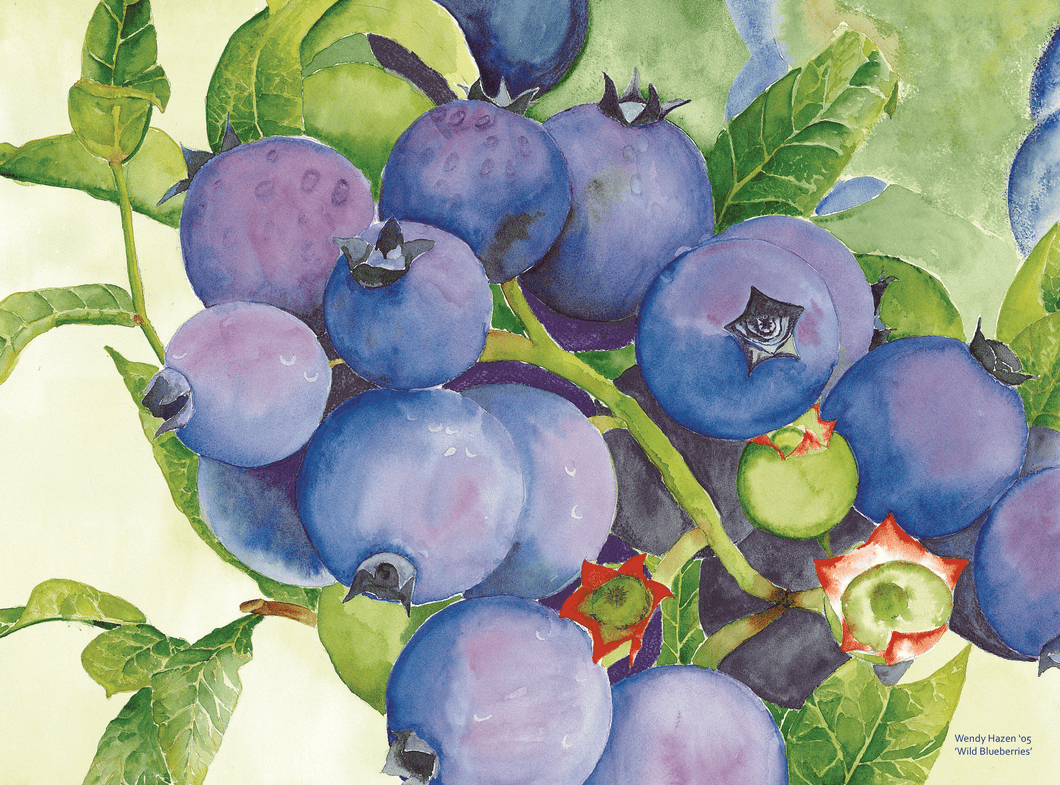 Blueberries Placemat