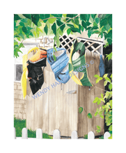 Load image into Gallery viewer, I love this outdoor shower located in Cotuit on Cape Cod.  It has all the life vests or water skiing vests hanging on the outdoor shower walls to dry.  Surrounded by trees and a white picket fence in the front