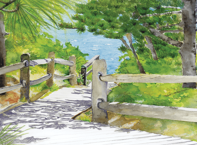 The best of Cape Cod Eastham Beach Path