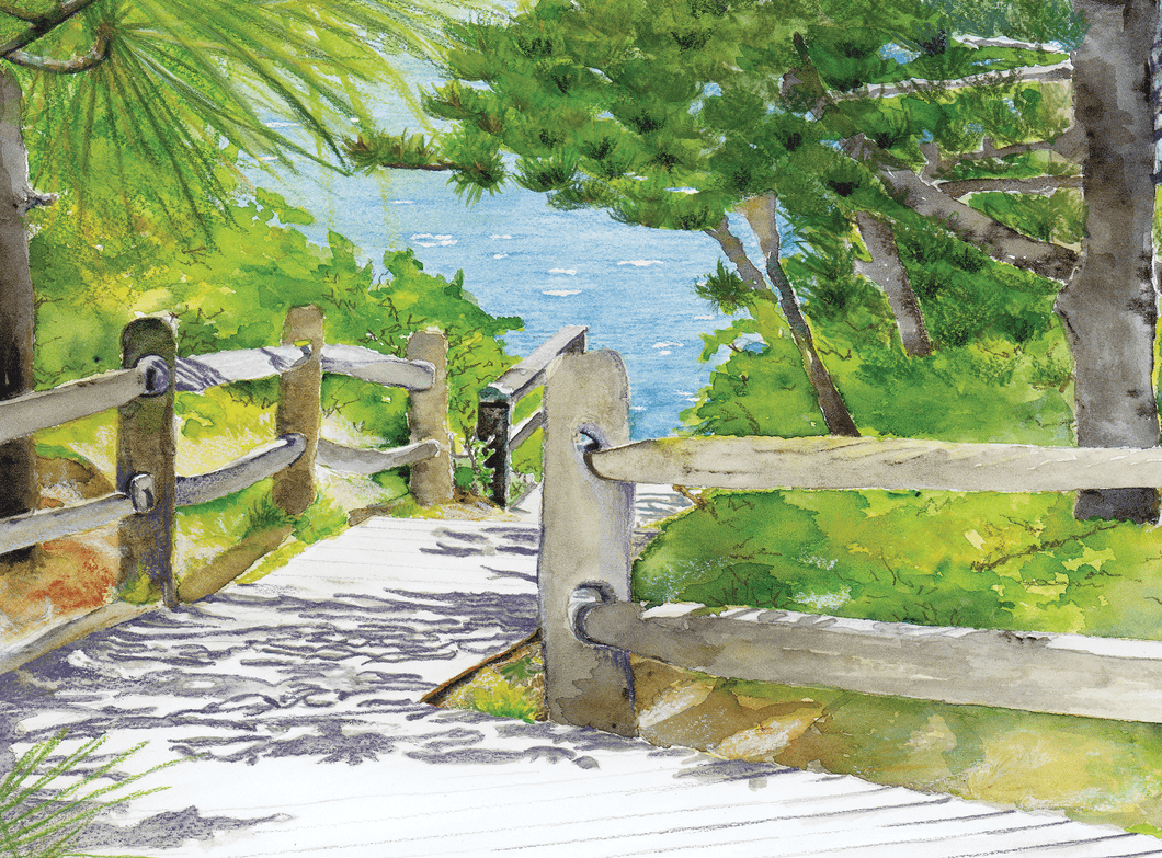 The best of Cape Cod Eastham Beach Path