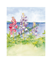 Load image into Gallery viewer, Maine Lupines with Linkin Bay in the background