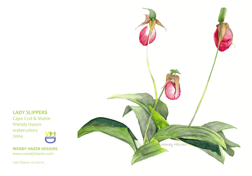 Lady Slipper-Floral | Hand Cut Cards