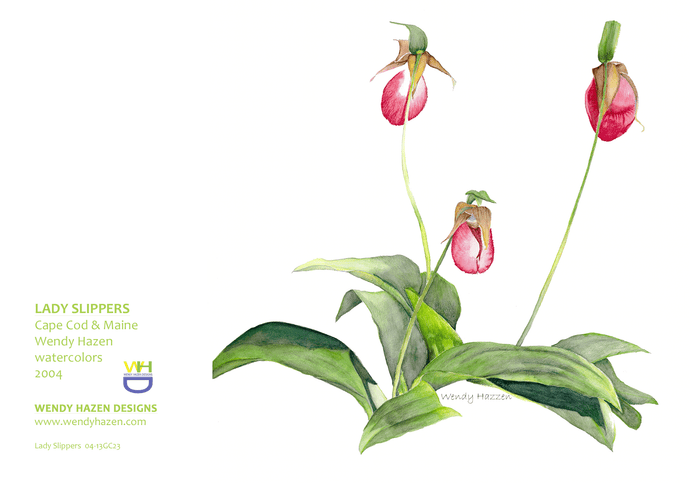 Lady Slipper - Floral | Hand Cut Card
