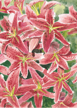 Load image into Gallery viewer, The cluster of Red Lilies notepad with 100 blank pages