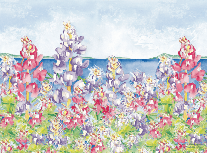 Field of Maine Lupines Placemat