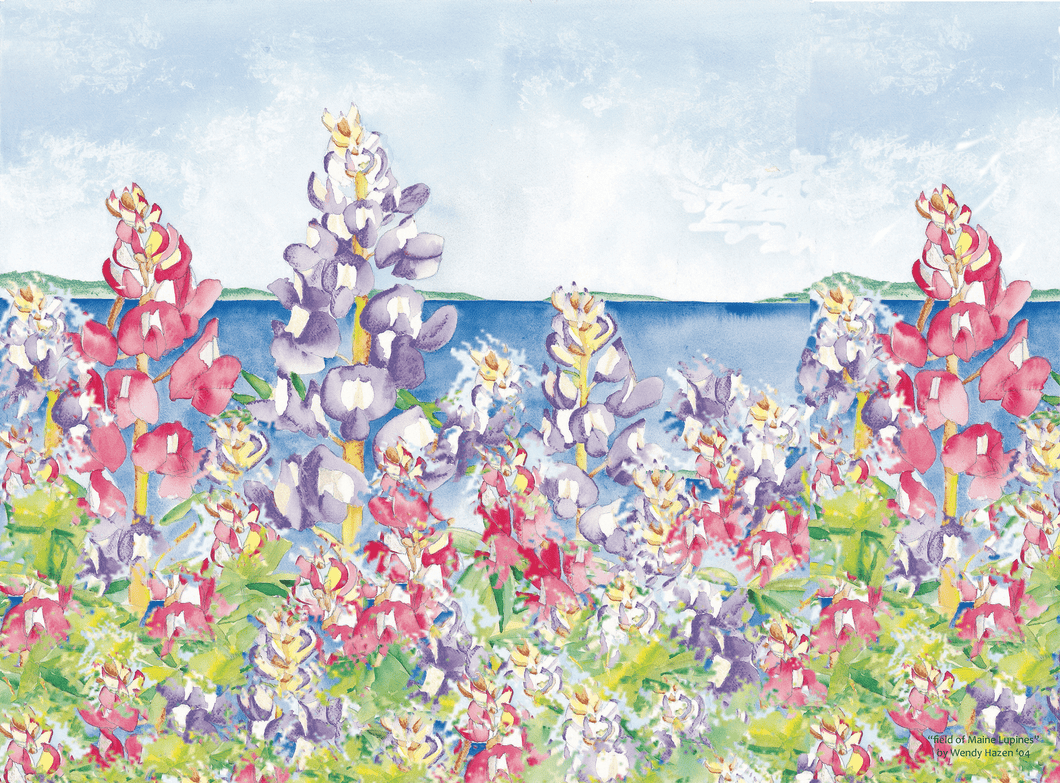 Field of Maine Lupines Placemat