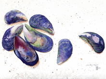Load image into Gallery viewer, Mussell Shells; bringing a little bit of the shore to the decorative table