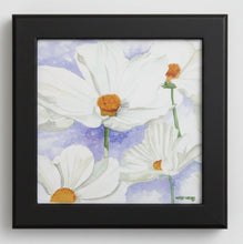 Load image into Gallery viewer, Multiply white Cosmos' on a bluish background with green shadowed stems and golden centers placed in a Black wooden Frame