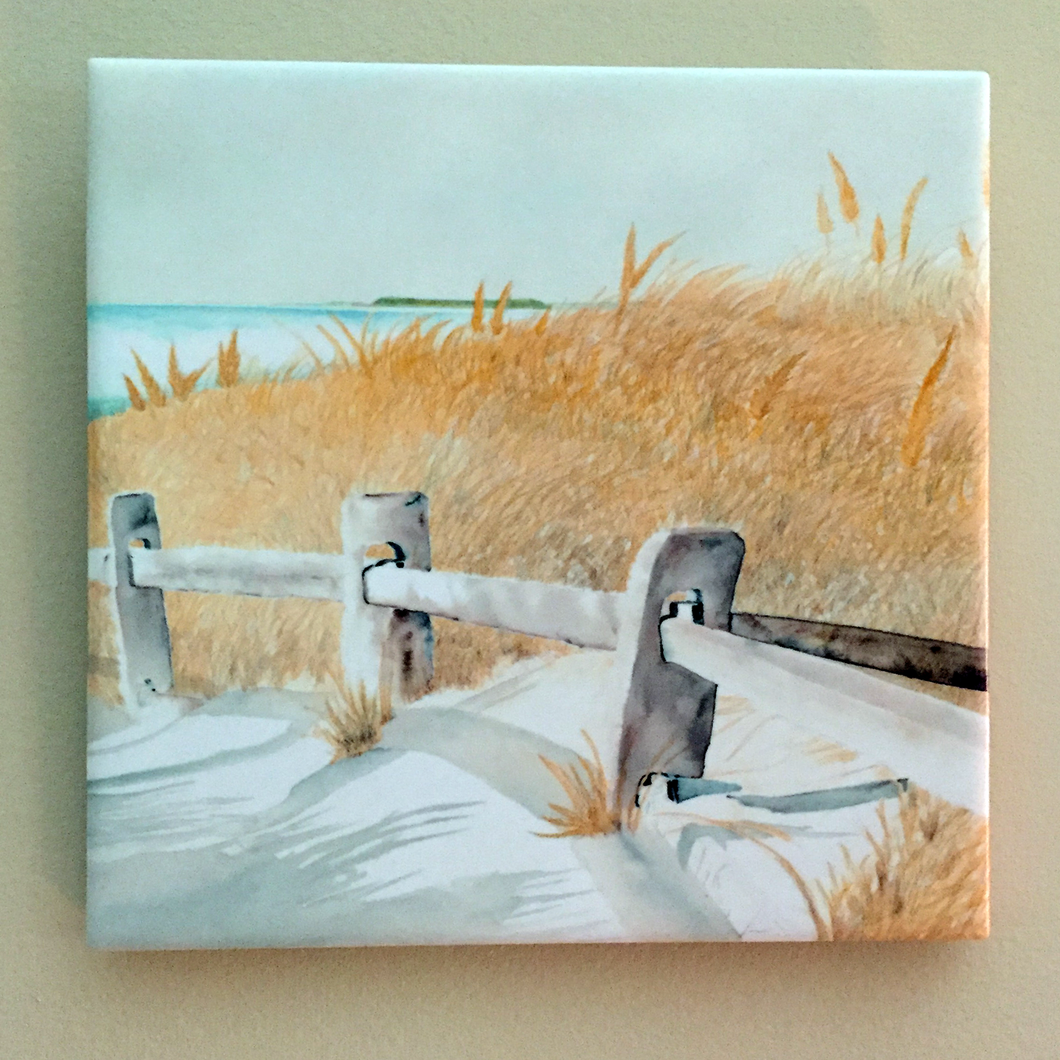 The Beach Path in a Black Wooden Frame.  The weathered split rail fence leading towards the beach with the fall seagrass beyond.  On the horizon is Cape Cod Bay looking towards Wellfleet.