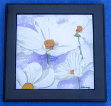 Load image into Gallery viewer, White Cosmos
