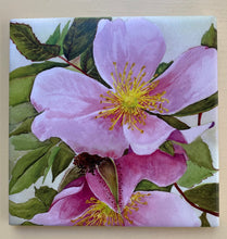 Load image into Gallery viewer, Rosa Ragosa (Beach Roses)