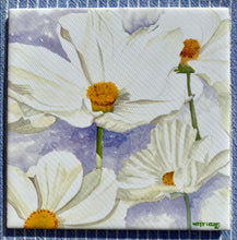 Load image into Gallery viewer, White Cosmos